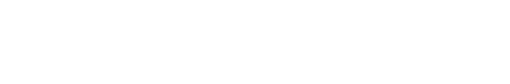 Archivio Lidio Bozzini